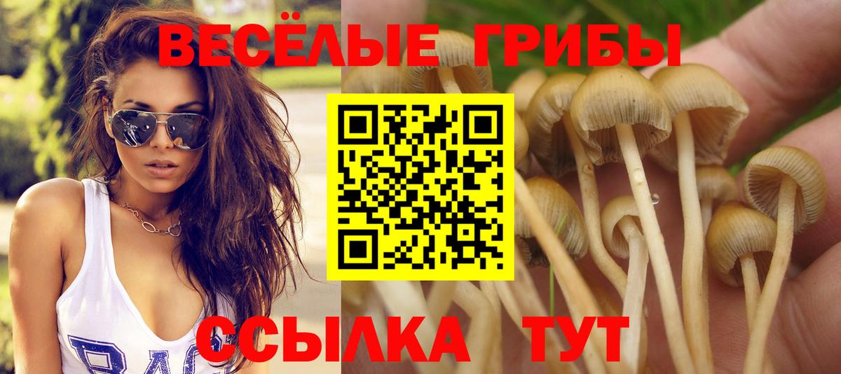 Галлюциногенные грибы Magic Shrooms  Вход с VPN  Кимры 